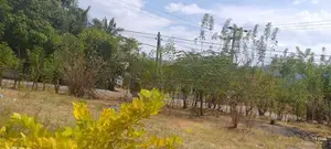 ඉඩමක් විකිණීම මහියංගනය