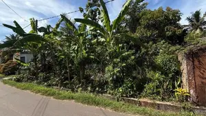 Land For Sale kandana