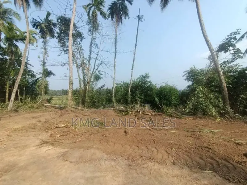Scenic Paddy-Field Facing Land for Sale in Delgoda