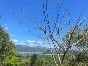 වික්ටෝරියා ජලාශය පෙනෙන මානයේ අගනා බිම් කොටස් කිහිපයක්