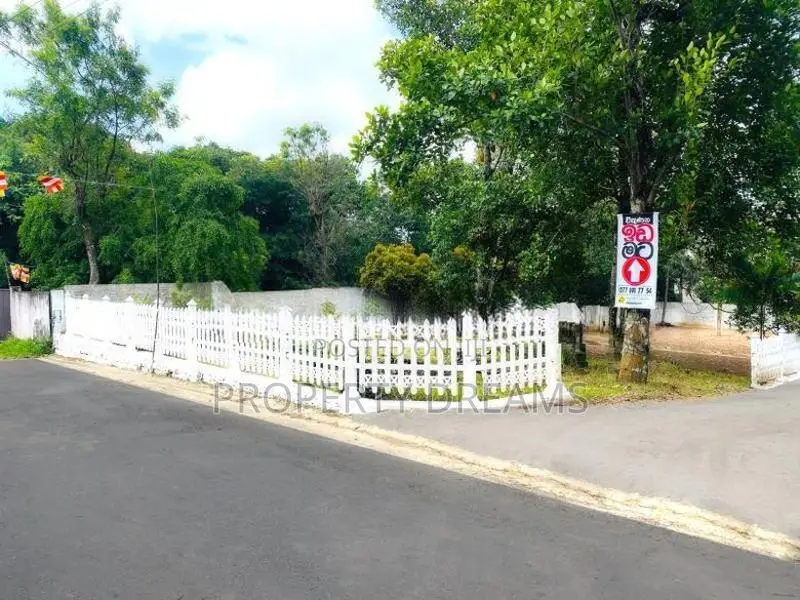 Beautiful Land Plot in a Depanama
