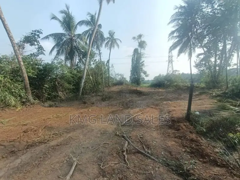 Scenic Paddy-Field Facing Land for Sale in Delgoda