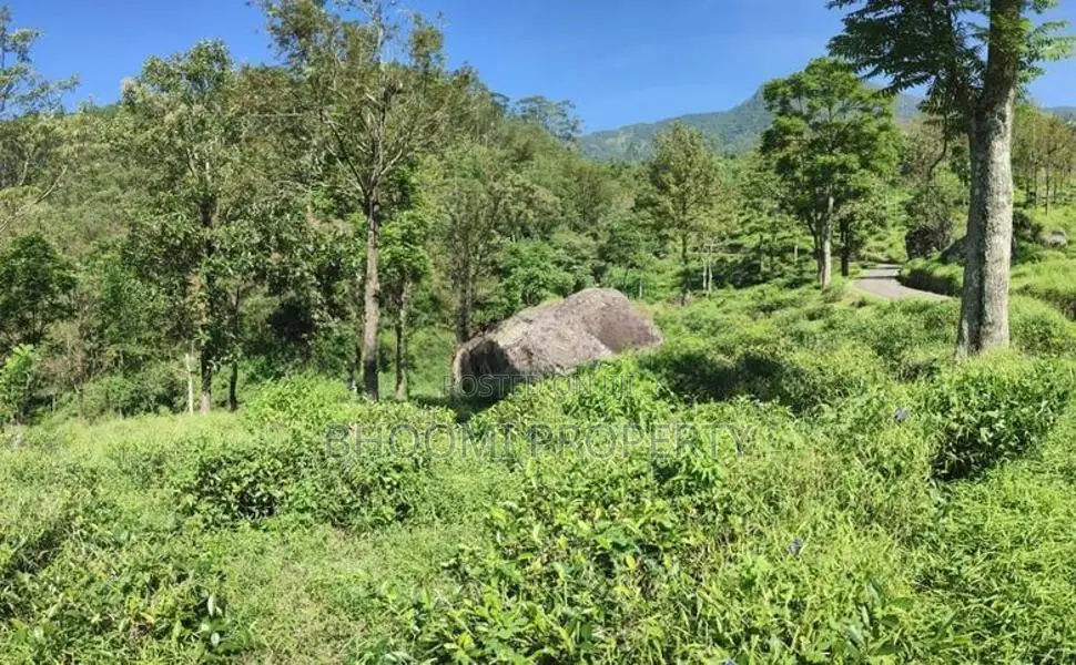 Land for Sale in Haputale