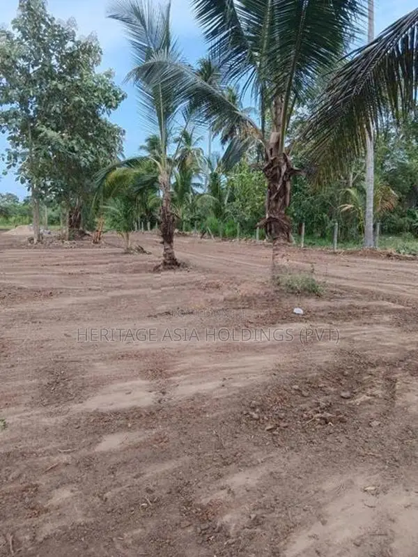 Land for Sale in Perimiyankulama