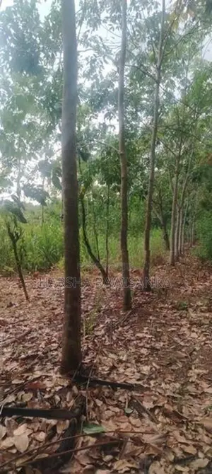 Land for Sale in Mahaoya