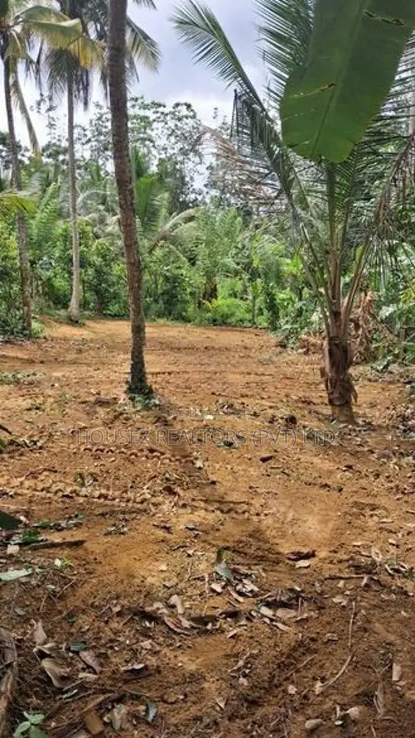 8.5 Perch Residential Land for Sale - Ranala