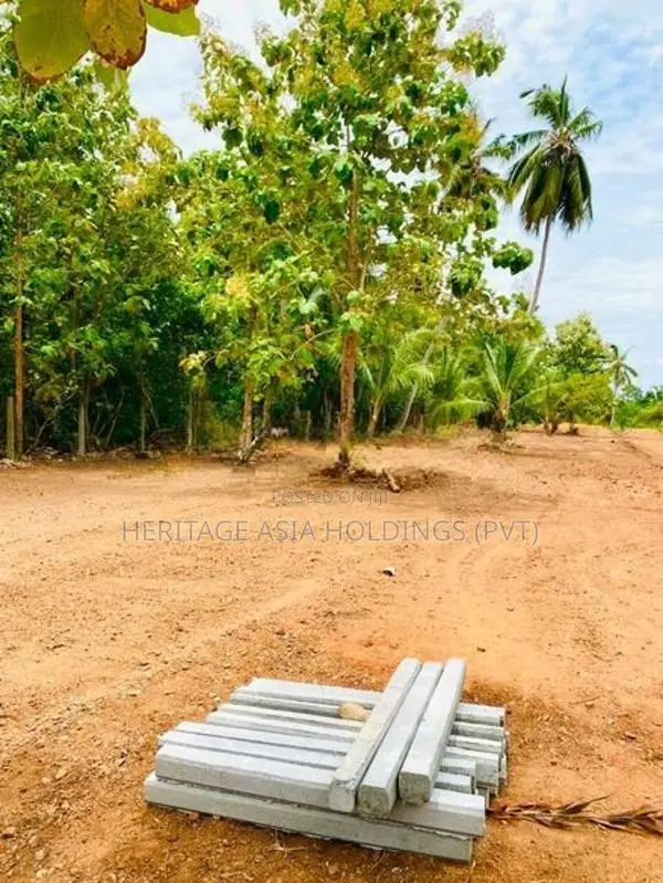 අනුරාධපුර කුට්ටම් පොකුණ ආසන්නයෙන් සින්නක්කර බිම් කොටස්