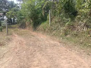 Scenic Paddy-Field Facing Land for Sale in Delgoda