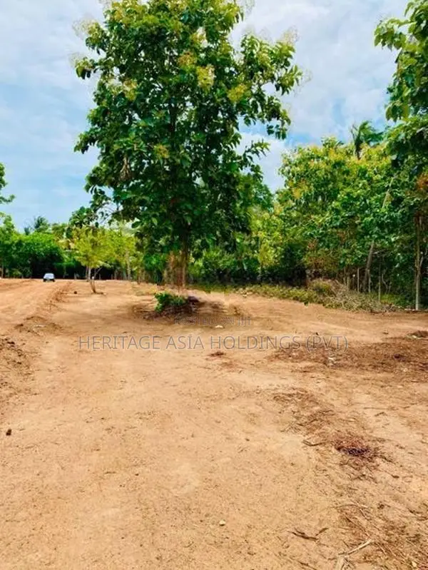 අනුරාධපුර කුට්ටම් පොකුණ ආසන්නයෙන් සින්නක්කර බිම් කොටස්