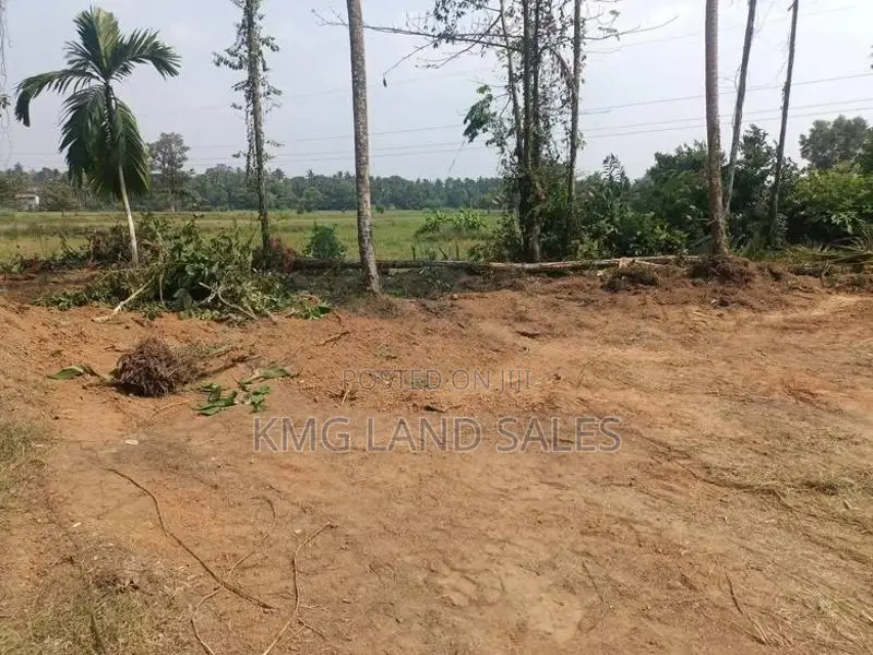 Scenic Paddy-Field Facing Land for Sale in Delgoda