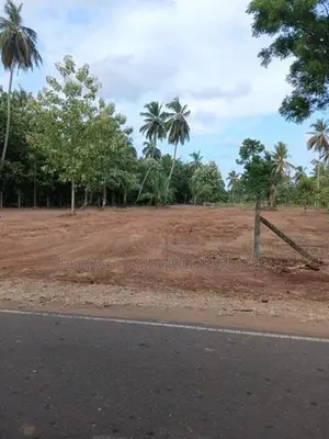Land for Sale in Perimiyankulama
