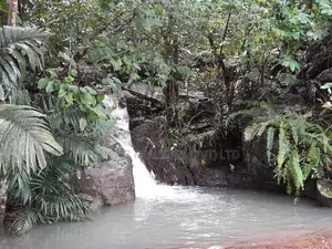 Rare 29-Perch Land for Sale in Hapugala, Galle