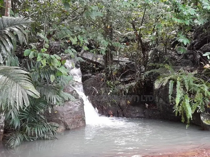 Rare 29-Perch Land for Sale in Hapugala, Galle
