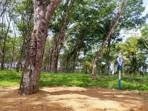 අහංගම ඉඩම්