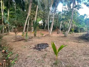Rare 29-Perch Land for Sale in Hapugala, Galle