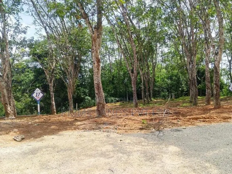 අහංගම ඉඩම්