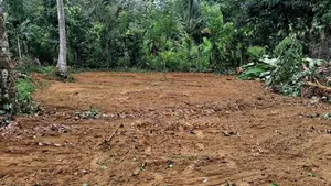 8.5 Perch Residential Land for Sale - Ranala