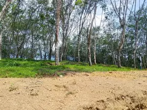 Lands in Near Ahangama