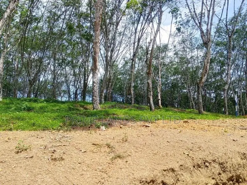 Lands in Near Ahangama