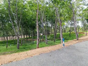 අහංගම ඉඩම්