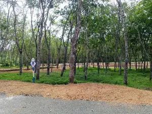 අහංගම ඉඩම්