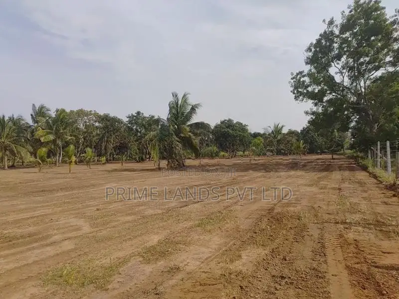 නාච්චාදූව මඩවලගම වැව පාරෙන් සින්නක්කර බිම්කොටස් විකිණීමට