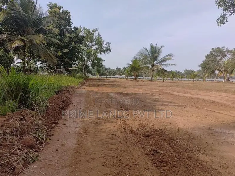 නාච්චාදූව මඩවලගම වැව පාරෙන් සින්නක්කර බිම්කොටස් විකිණීමට