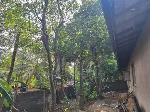 Single Story House for Sale Piliyandala