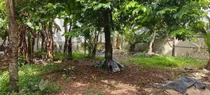 Single Story House for Sale Piliyandala