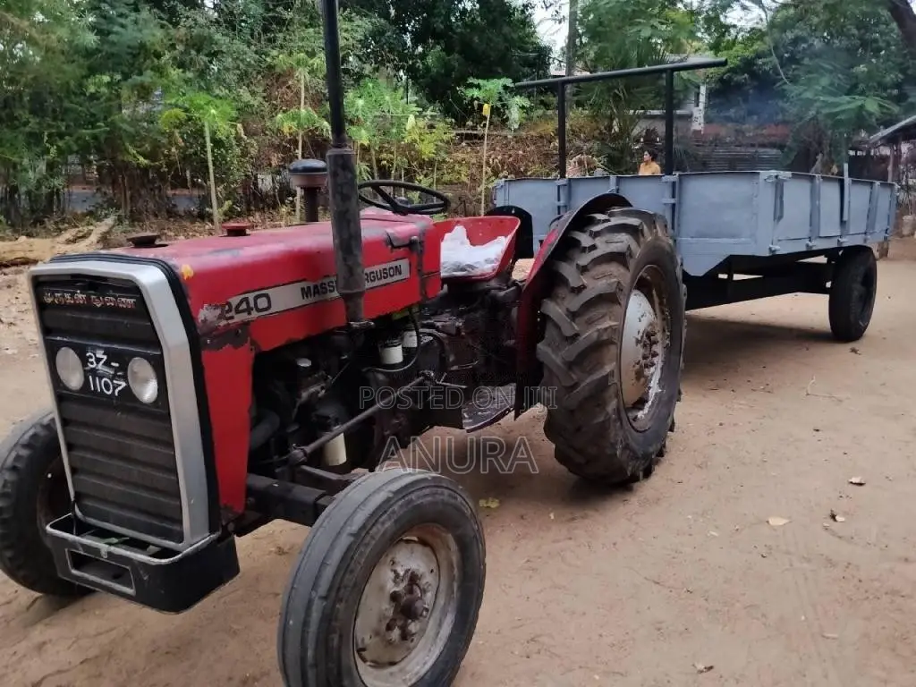 Massey-Ferguson 240 1981 Tractor (Used)