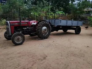Massey-Ferguson 240 1981 Tractor (Used)