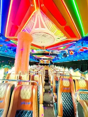 Ashok-Leyland Viking 2013 Bus (Used)