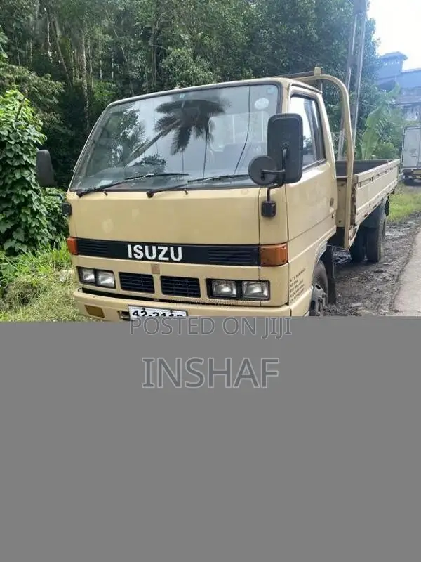Isuzu 250 1989 Lorry (Used)