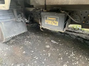 Isuzu 250 1989 Lorry (Used)