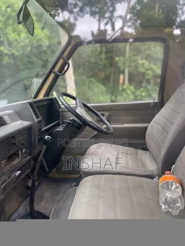 Isuzu 250 1989 Lorry (Used)
