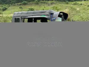 Piaggio Ape 2014 Three Wheel (Used)