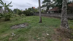 Valuable 11 Perches Land for Sale in Jaela - Dadugama