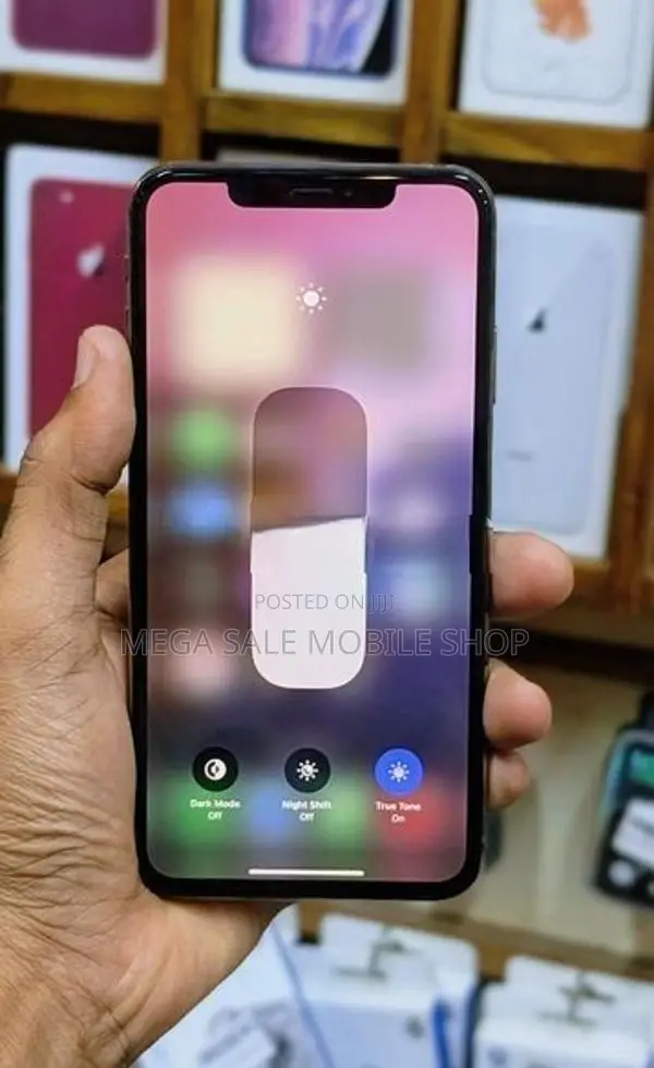 Apple iPhone XS Max 256GB (Used)
