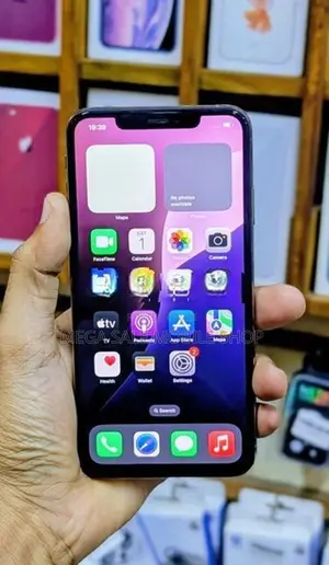 Apple iPhone XS Max 256GB (Used)