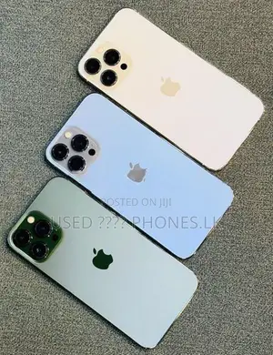Apple iPhone 13 Pro Max 256GB (Used)