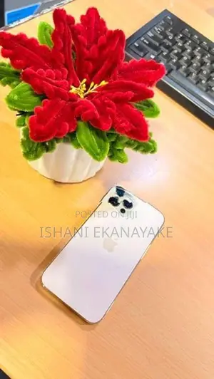 Apple iPhone 12 Pro (Used)