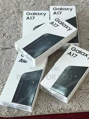 Samsung Galaxy A17 (Used)
