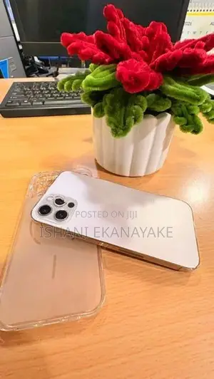 Apple iPhone 12 Pro (Used)