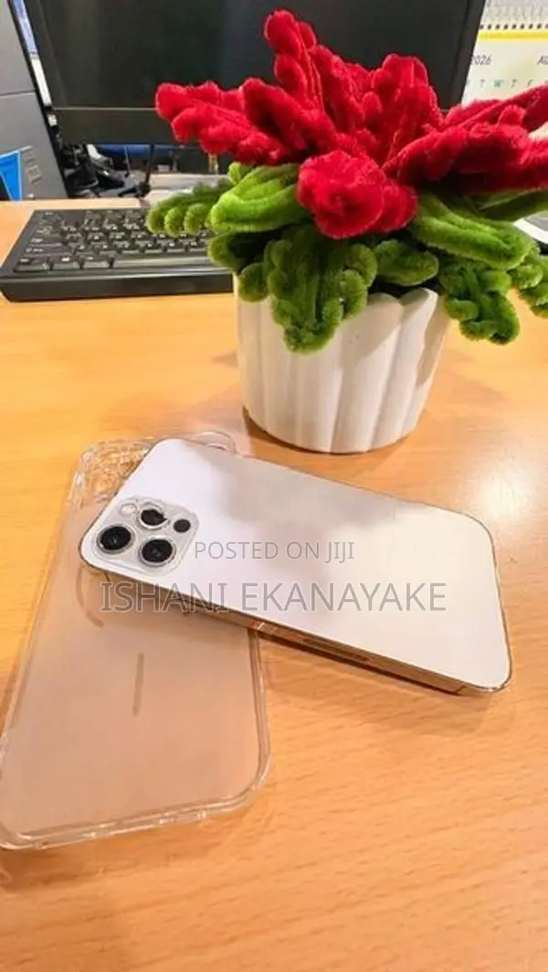 Apple iPhone 12 Pro (Used)