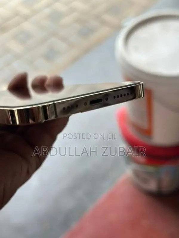 Apple iPhone 13 Pro Max (Used)