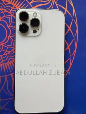 Apple iPhone 13 Pro Max (Used)