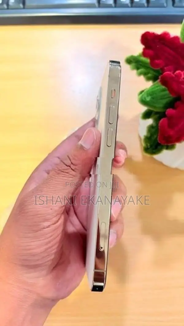 Apple iPhone 12 Pro (Used)
