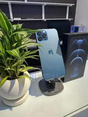 Apple iPhone 12 Pro Max (Used)