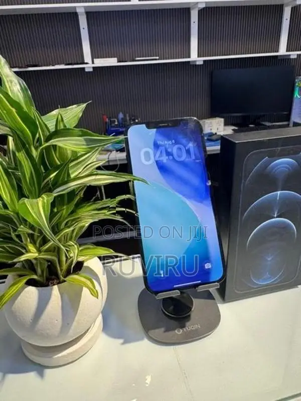 Apple iPhone 12 Pro Max (Used)