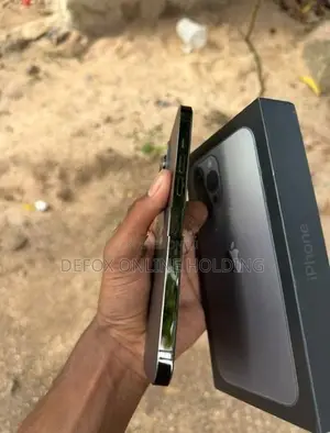 Apple iPhone 13 Pro Max 256GB (Used)